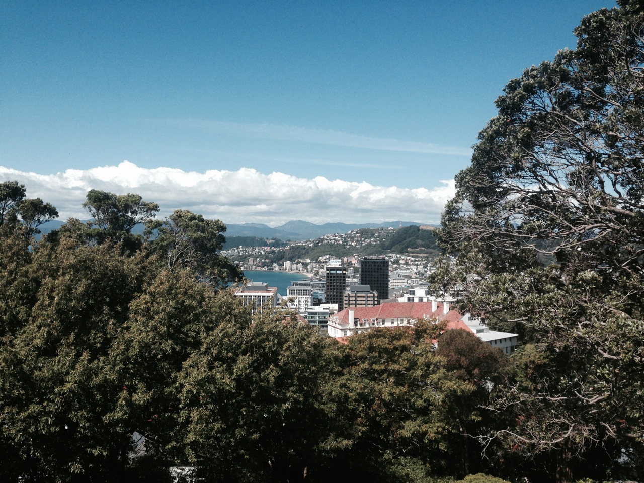 Harbour and botanic views